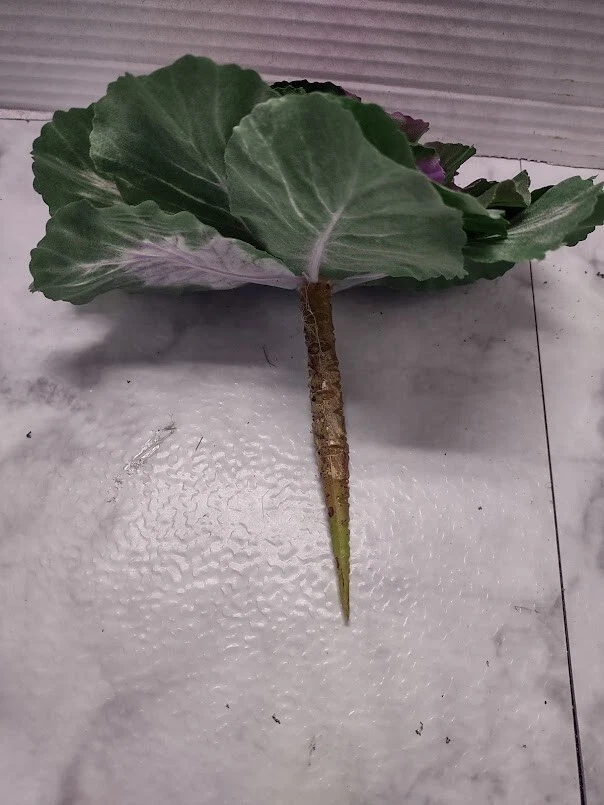 Mini rose artificial decorative cabbage. Silk Flowers - Image 3 of 4