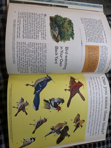 1967 Reader’s Digest Treasury for Young Readers Book - Picture 5 of 6
