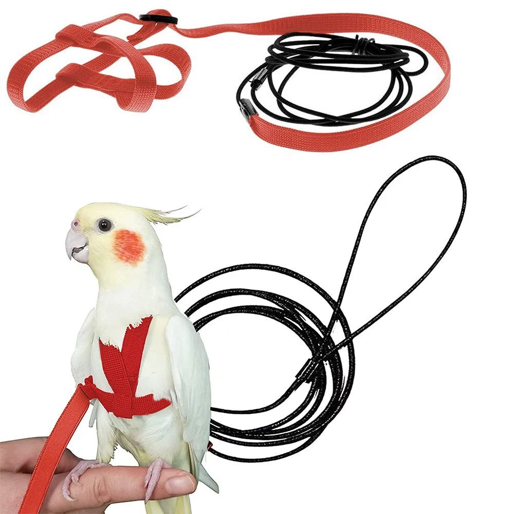 Traction Rope Bird Harness Leash Bird Leash Parrot Harness Parrot Flying  Rope