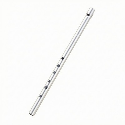 Tin Whistle traditionell Penny Whistle klassisch für Musikunterricht