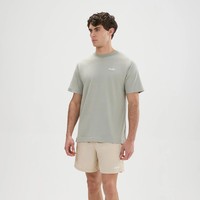 Ellesse Acciano T-Shirt Herren Grau