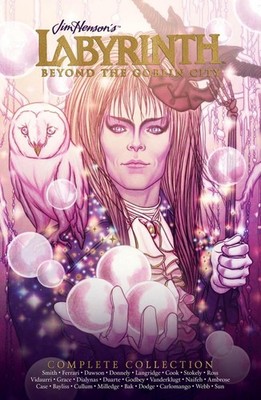 Complete Labyrinth: Beyond the Goblin City by Delilah S. Dawson Hardcover Book