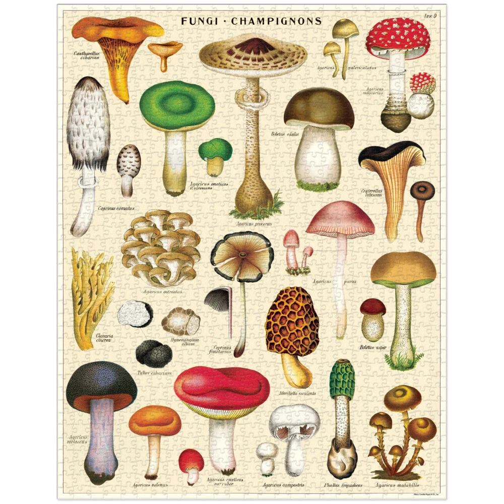 1000pc Cavallini Vintage Jigsaw Puzzle Mushrooms 55x70cm Learning Game 