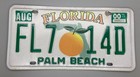 Vintage 2000 Florida Palm Beach License Plate - Two Leaf Orange / State Outline — photo 1