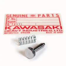 Kawasaki Right Control Switch Throttle Lock Screw Adjuster & Spring 1973-74 z1