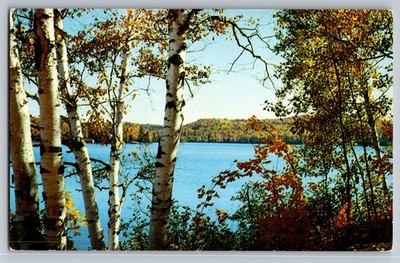 Postcard - Beautiful Lake Of Bays In Muskoka, Canada