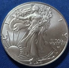 A 2024 $1 1-oz American Silver Eagle Star Privy Struck Through Error Reverse
