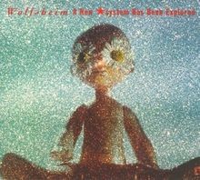 A New Starsystem Has Been Explored von Wolfsheim | CD | Zustand sehr gut