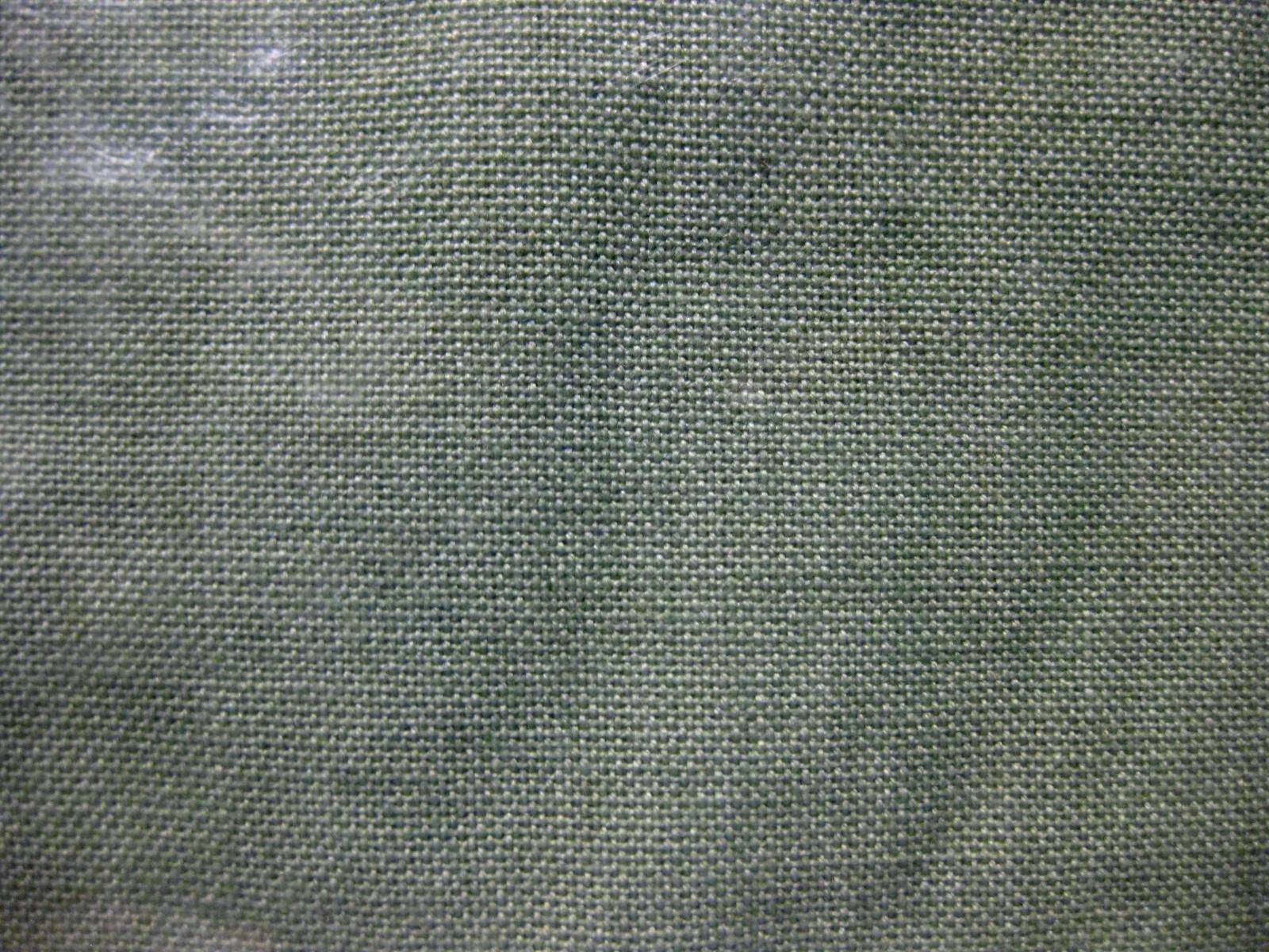 Trillium Design Imports Placemat~"WINGS"~Dragonfly~Butterfly~14" x 18.5~NEW!!