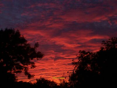 Foto 6x4 schöner Sonnenuntergang - Sandy Grove, Llanteg 2 c2013