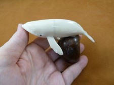 TNE-WHA-403d) little white HUMPBACK WHALE TAGUA NUT palm figurine whales