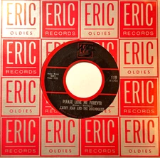 CATHY JEAN & THE ROOMATES * 45 * Please Love Me Forever / Band * NICE VG/VG+* RI
