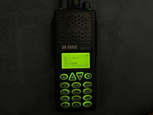 Radio portable Relm Bendix King BK KNG P150 VHF P25 Batt + antenne WILDLAND FIRE - Photo 7/13