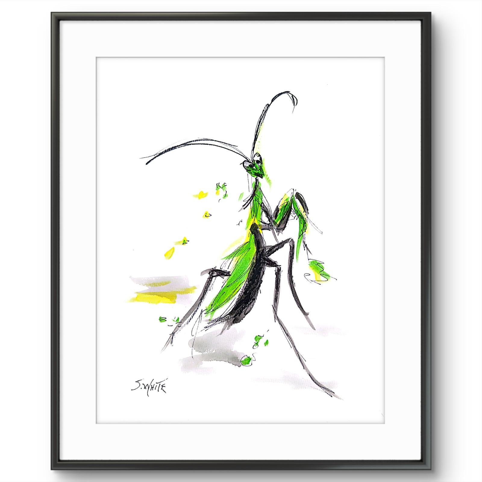 Praying Mantis Original Painting 11x14 Paper Ink Sketch Wildlife Nature SWhite