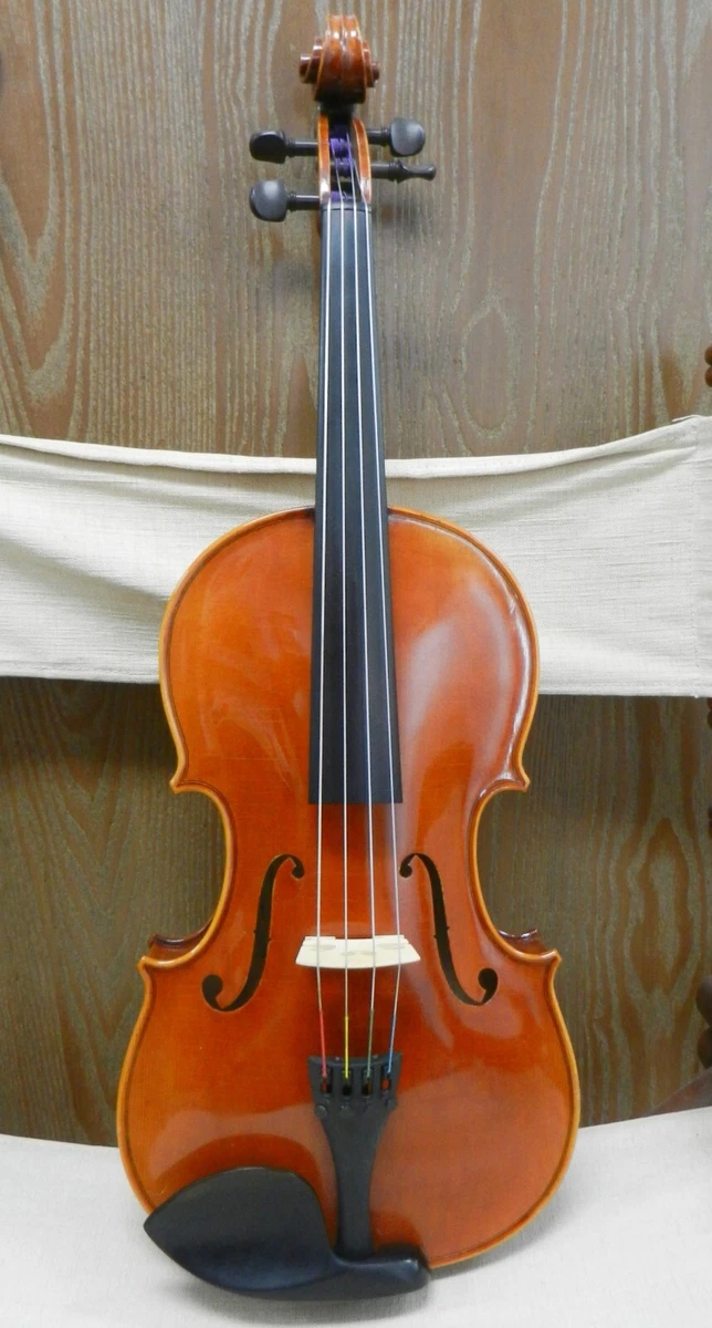 Used viola sale