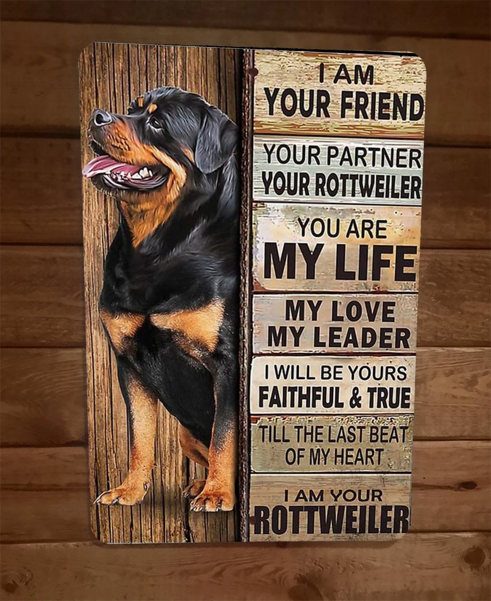 Cheap rottweiler best sale