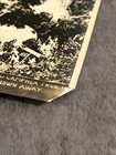 Atomic Bomb Photo Hiroshima Japan Upper Half A Grand Campher Tree Shrine 1000m — photo 2