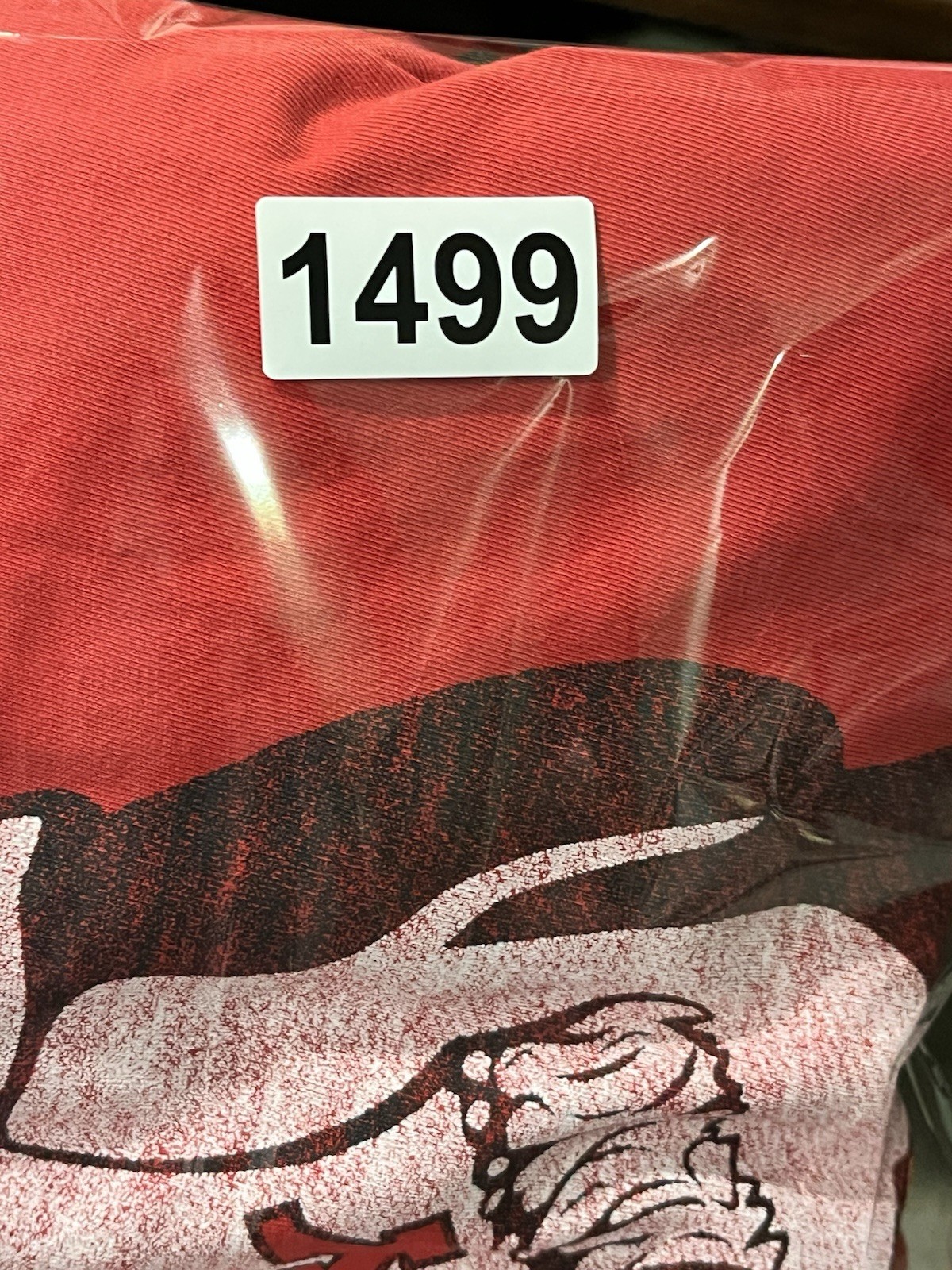 Foto 9 di 9
