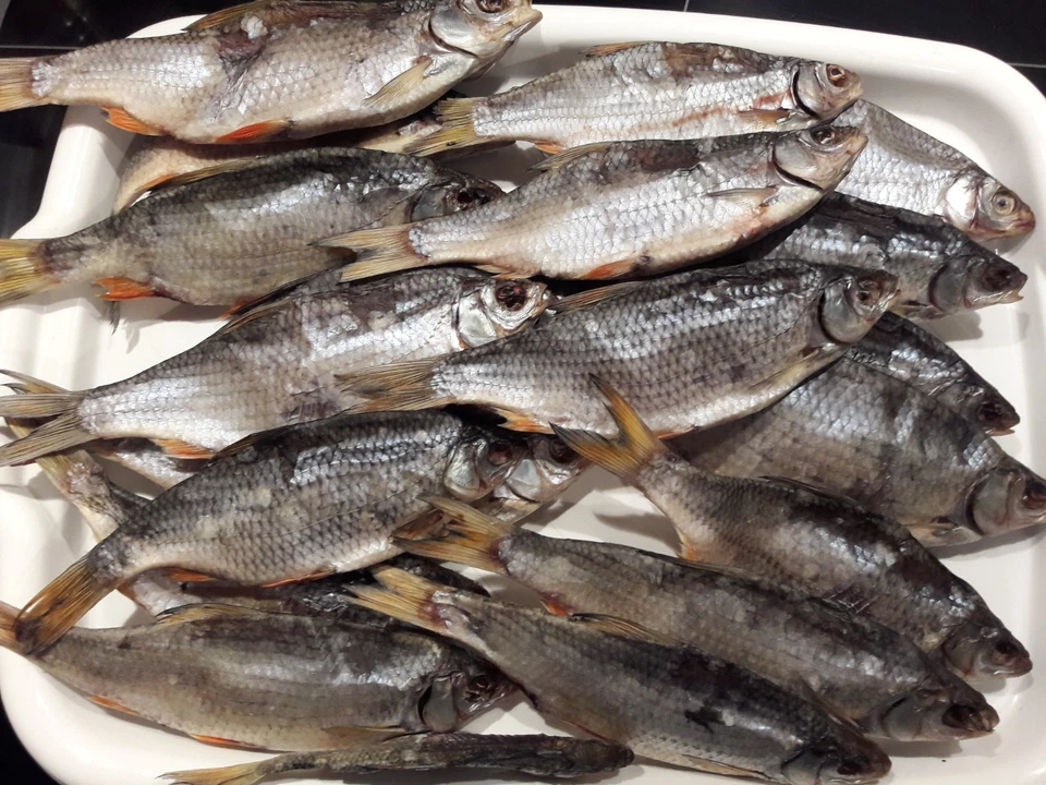 Trockenfisch gedörrte Plötze рыба сушено-вяленая von privat плотва чебак таранка - Bild 3 von 4