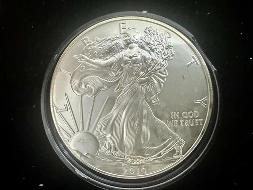 2014 American Silver Eagle Brilliant Uncirculated .999 Fine Silver Encapsulated