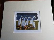 Mary Ann Rogers signed limited print, new in package Indian Runner Ducks