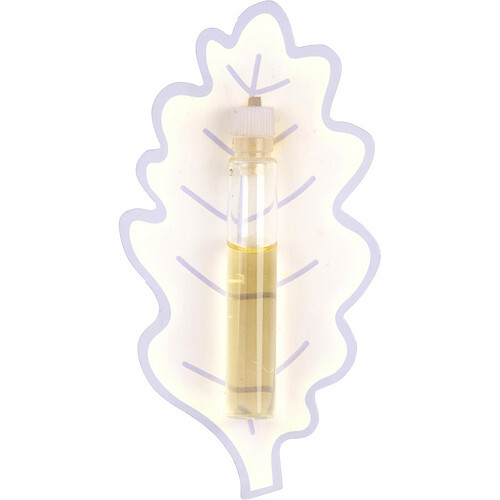 INES DE LA FRESSANGE от Ines de la Fressange, 0,08 унции, Аутентичный