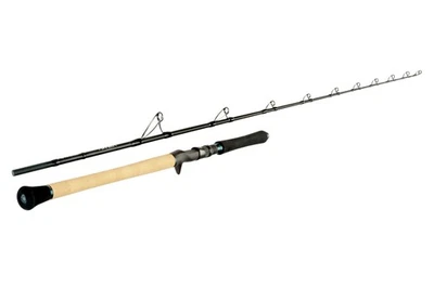 Sportex Top Cat CS-2 TC1909 1,92m //100-300g Wels Waller Rute - Bild 1 von 4
