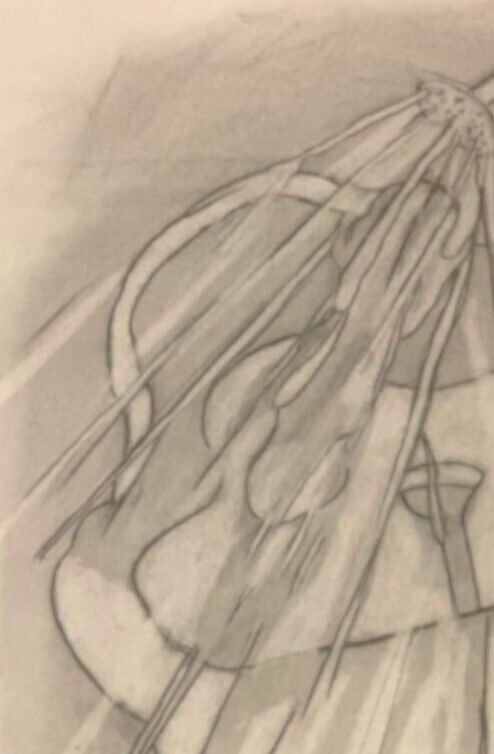 Bild 2 von 3