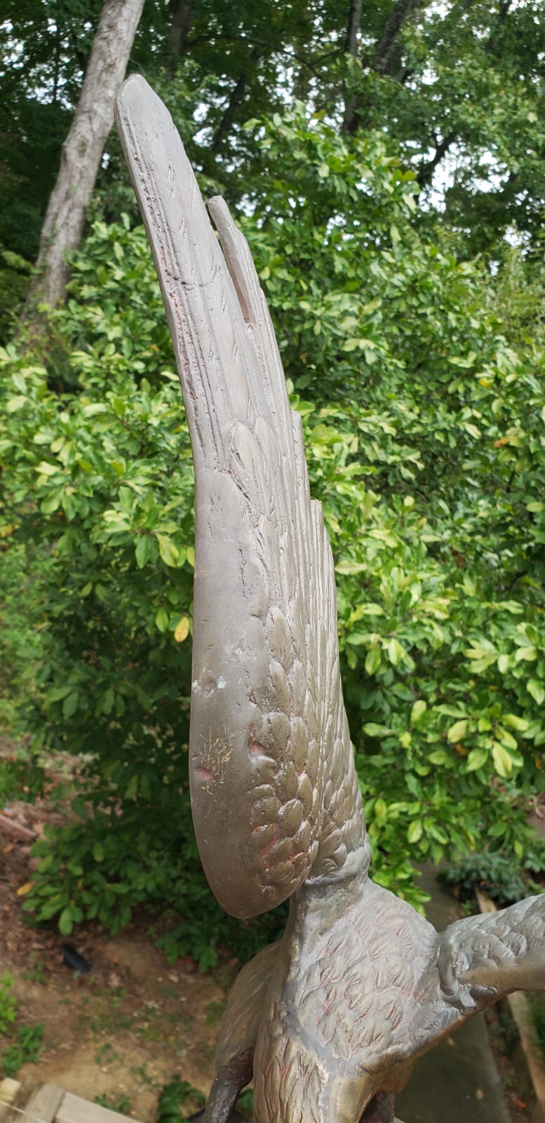 Picture 4 of 9