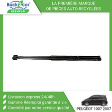 Verin de hayon / de capot Peugeot 1007