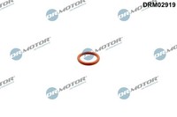 Dr.Motor Automotive Dichtung, ÖLauslass (Lader) DRM02919