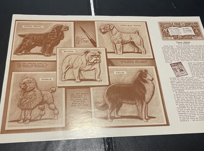 22 Vintage Leathercraft Doodle Page Of The Mont By Craftool Co. 1950 s