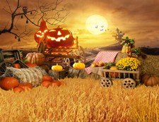 10x8ft Thanksgiving Fall Harvest Pumpkin Castle Photo Background Vinyl Backdrop