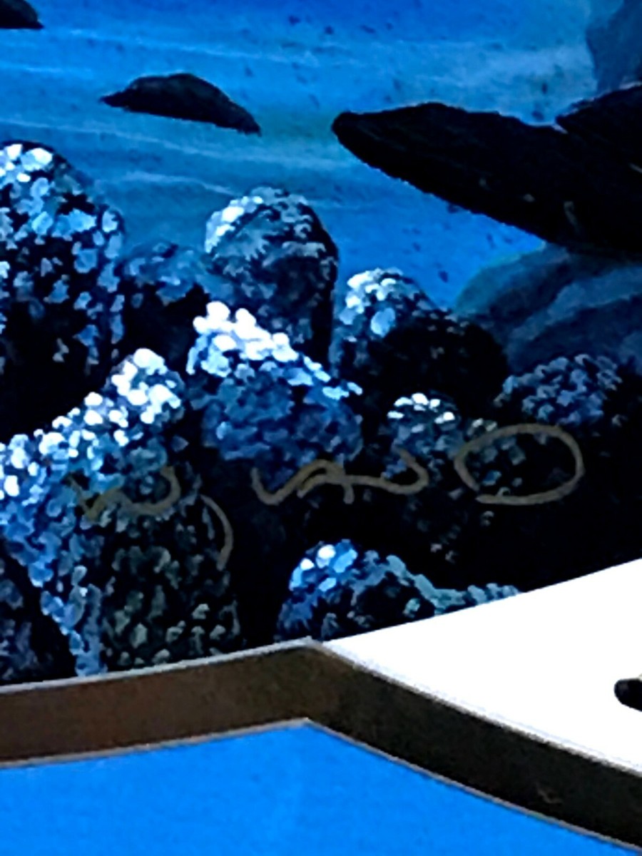 Robert Wyland Dolphin Days Ltd Edition Artist Signed/Numbered 172