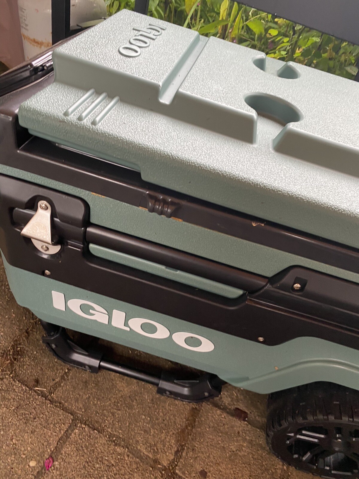 Igloo Trailmate Marine 70 66L Wheeled Cooler Box - Spruce