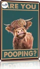 Western & Highland Cow Gifts Funny Highland Cow Are You Pooping Vintage Tin Sign