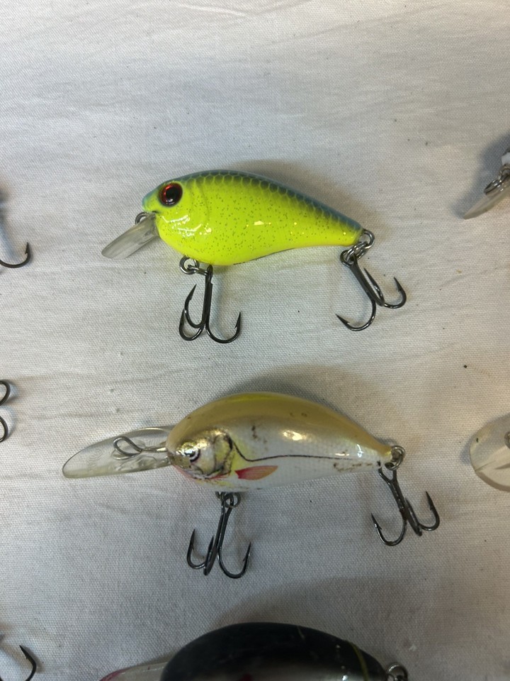 Leurre Crankbait H2O Xpress American Shad, Taille M, Neuf, Pêche