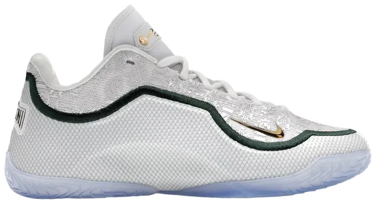 Nike Lebron 23 From This Point Forward for Sale | Authenticity