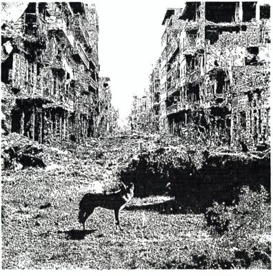 VoX LoW Keep On Falling (CD) Album Digipak