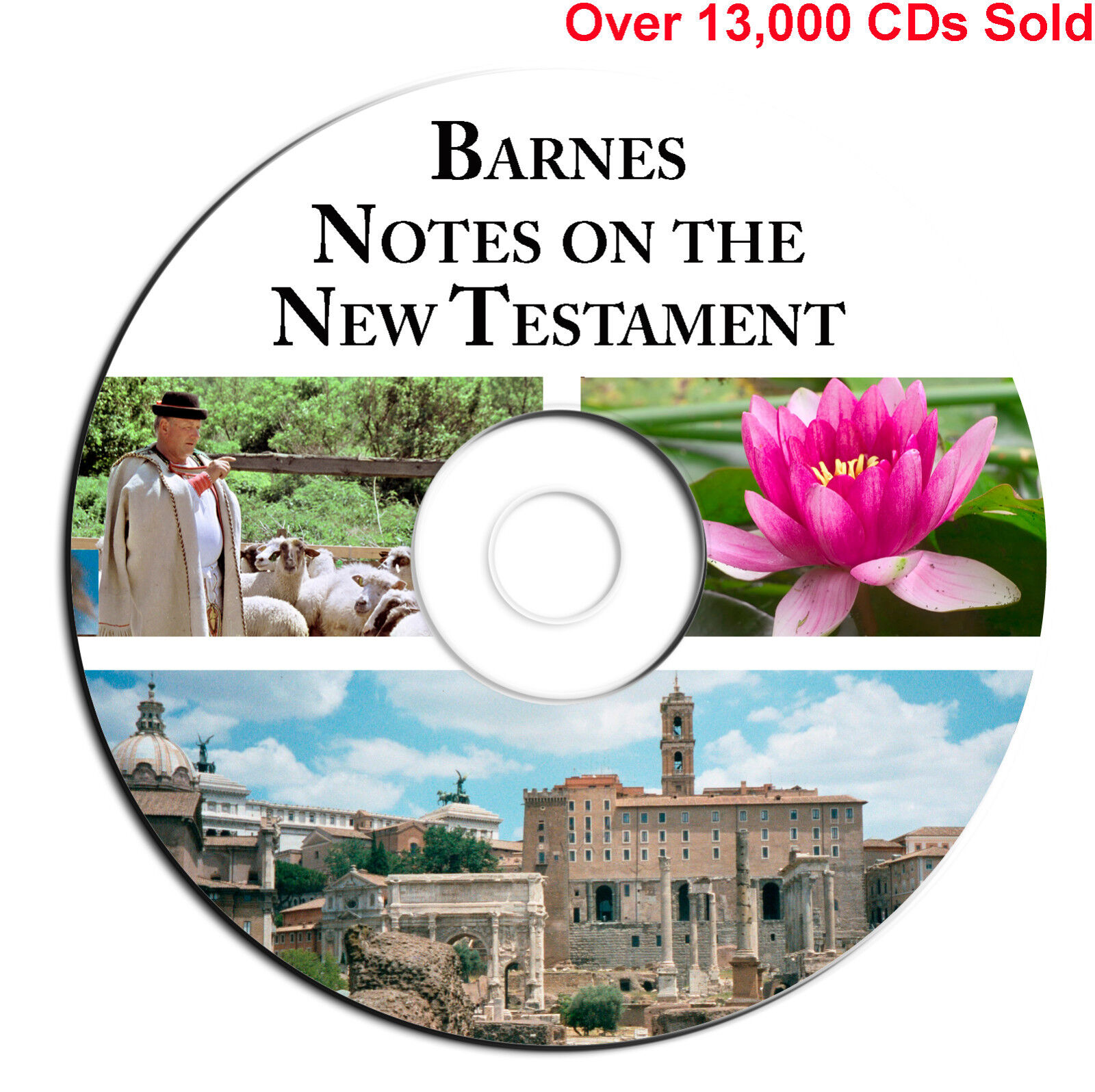 Albert Barnes Notes On The Testament Bible Commentary Scripture Cd Ebook Pdf For Sale Online Ebay