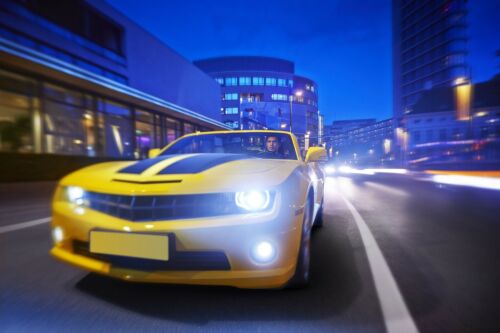 Nokya 7000K White H11 Nok7218 80W Two Bulbs Head Light Low Beam High Wattage Fit - Picture 10 of 12