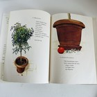 Picture 20 of 24