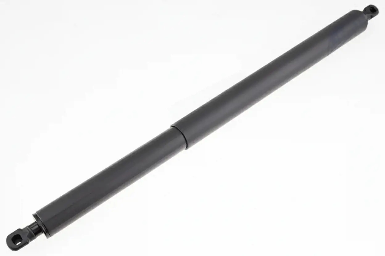NTY AE-MG-001 Pistoncini portellone posteriore Dx - Immagine 4