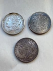 Morgan dollars (Lot of 3 ) 1885 o, 1921 p, 1921 d   Circulated