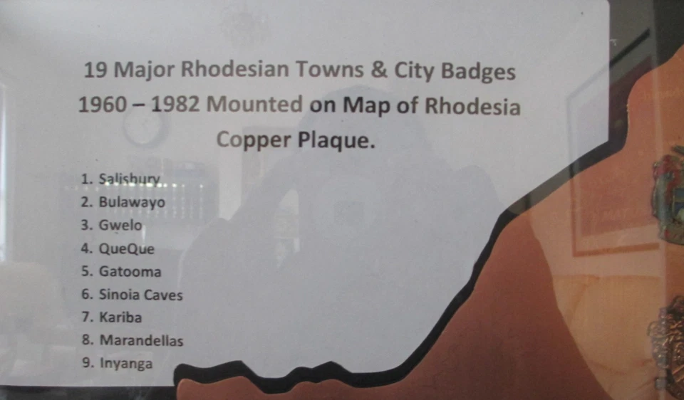 19 Major Rhodesian Towns & City Badges 1960 - 1982 Mounted on Map of Rhodesia. - Image 4 of 4