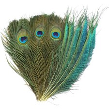 Damen Basteln Deko Pfauen Federn Natur Pfauenfeder Schwanzfedern 25-30CM 30 Stk