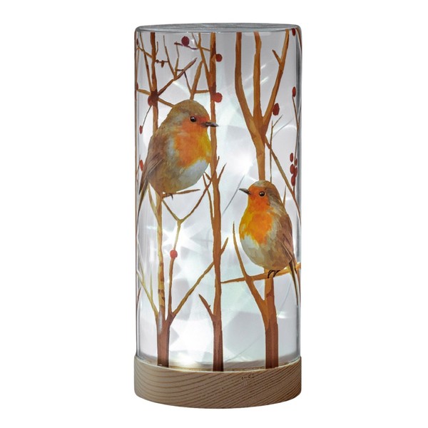 LED Deko Licht, Lampe Rotkehlchen Zylinder H. 20Cm Aus Glas Mit Timer Formano-image