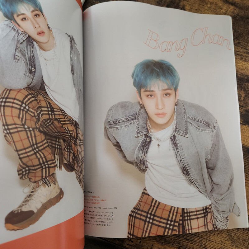 Stray Kids mini July 2022 Japan Magazine Clear File