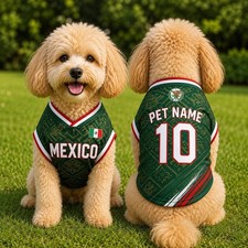 Personalized Mexico Pet Soccer Jersey, Custom Dog Cat Football Shirt