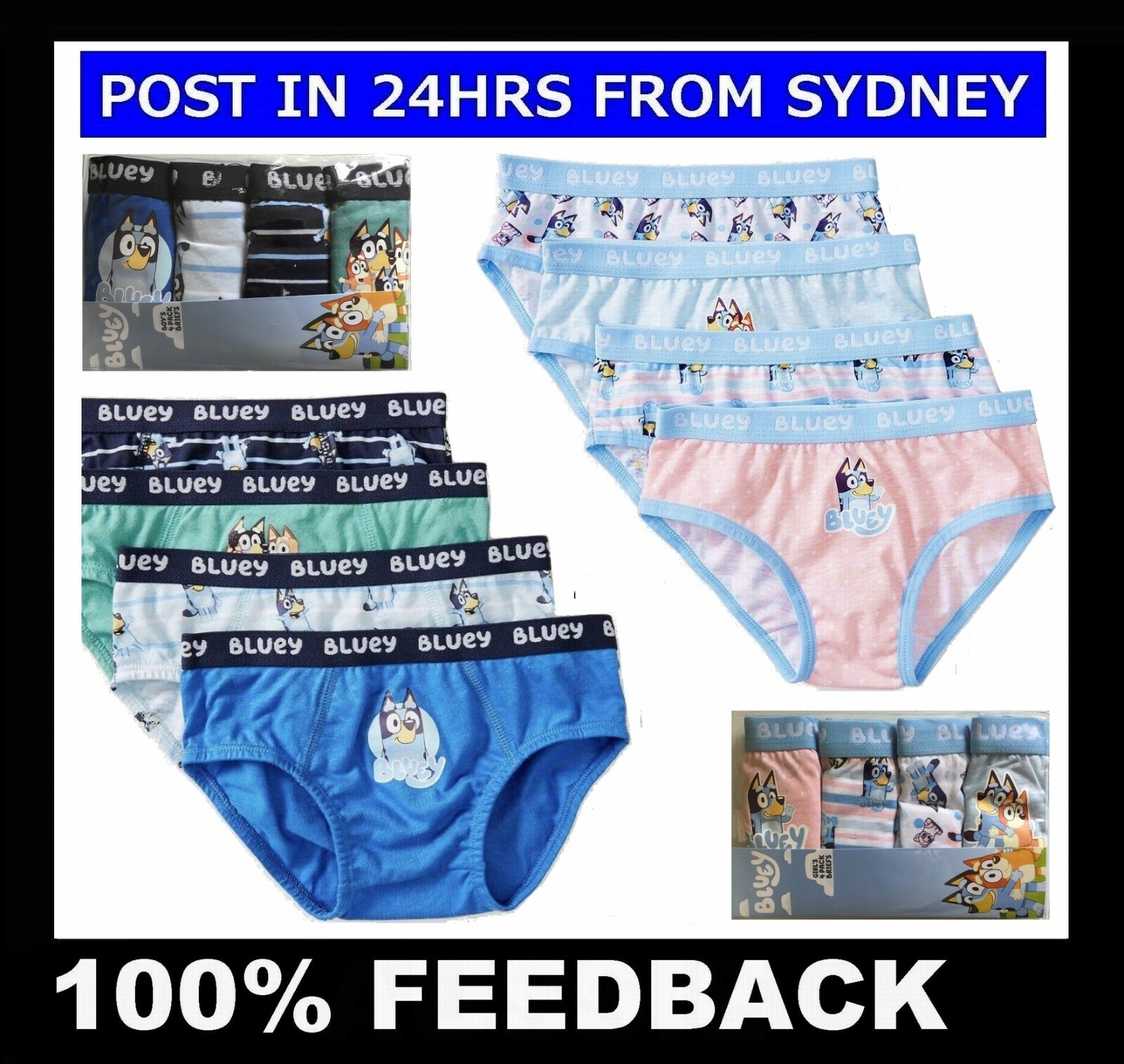 BLUEY BINGO UNDERWEAR ~ Kids Boys Girls Underpants Briefs Knickers